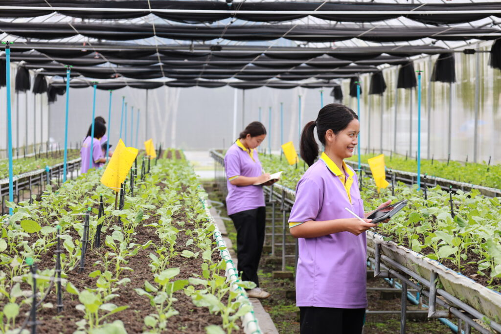 ประวัติสถาบัน — 1 พฤษภาคม 2025 — สถาบันเทคโนโลยีจิตรลดา CDTI