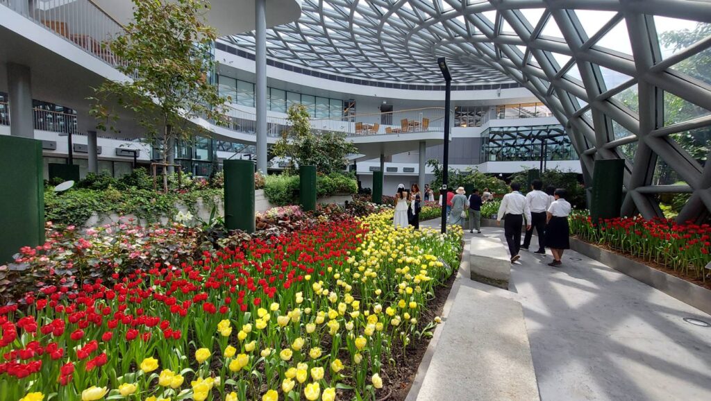 สจด. ศึกษาดูงาน Miracle of Natural และสวนสมุนไพรสมเด็จพระเทพรัตนราชสุดาฯ สยามบรมราชกุมารี — 1 พฤษภาคม 2025 — สถาบันเทคโนโลยีจิตรลดา CDTI