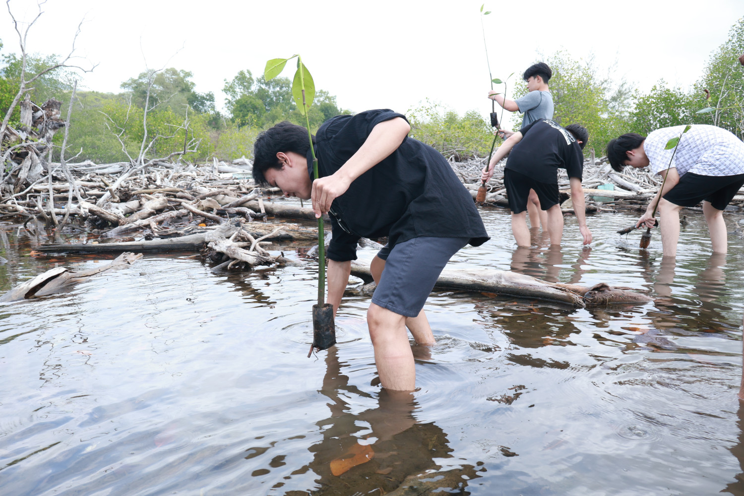 สจด. จัดโครงการ “General Education Integrated Camp 2026” สจด. จัดโครงการ “General Education Integrated Camp 2026” — 17 กุมภาพันธ์ 2026 — สถาบันเทคโนโลยีจิตรลดา CDTI
