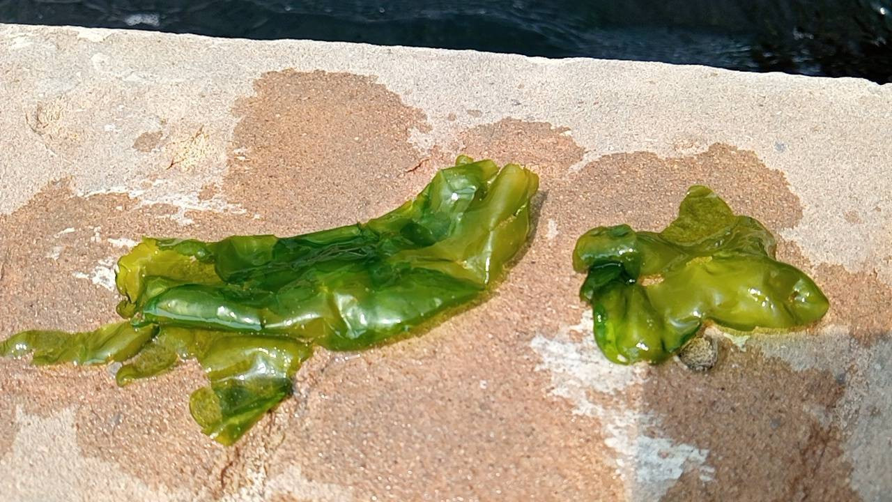 คณะเทคโนโลยีอุตสาหกรรมจัดกิจกรรมสัมมนาบุคลากรประจำปี คณะเทคโนโลยีอุตสาหกรรมจัดกิจกรรมสัมมนาบุคลากรประจำปี — 10 เมษายน 2026 — สถาบันเทคโนโลยีจิตรลดา CDTI