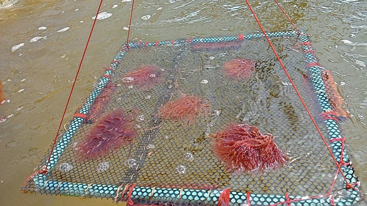 คณะเทคโนโลยีอุตสาหกรรมจัดกิจกรรมสัมมนาบุคลากรประจำปี คณะเทคโนโลยีอุตสาหกรรมจัดกิจกรรมสัมมนาบุคลากรประจำปี — 10 เมษายน 2026 — สถาบันเทคโนโลยีจิตรลดา CDTI