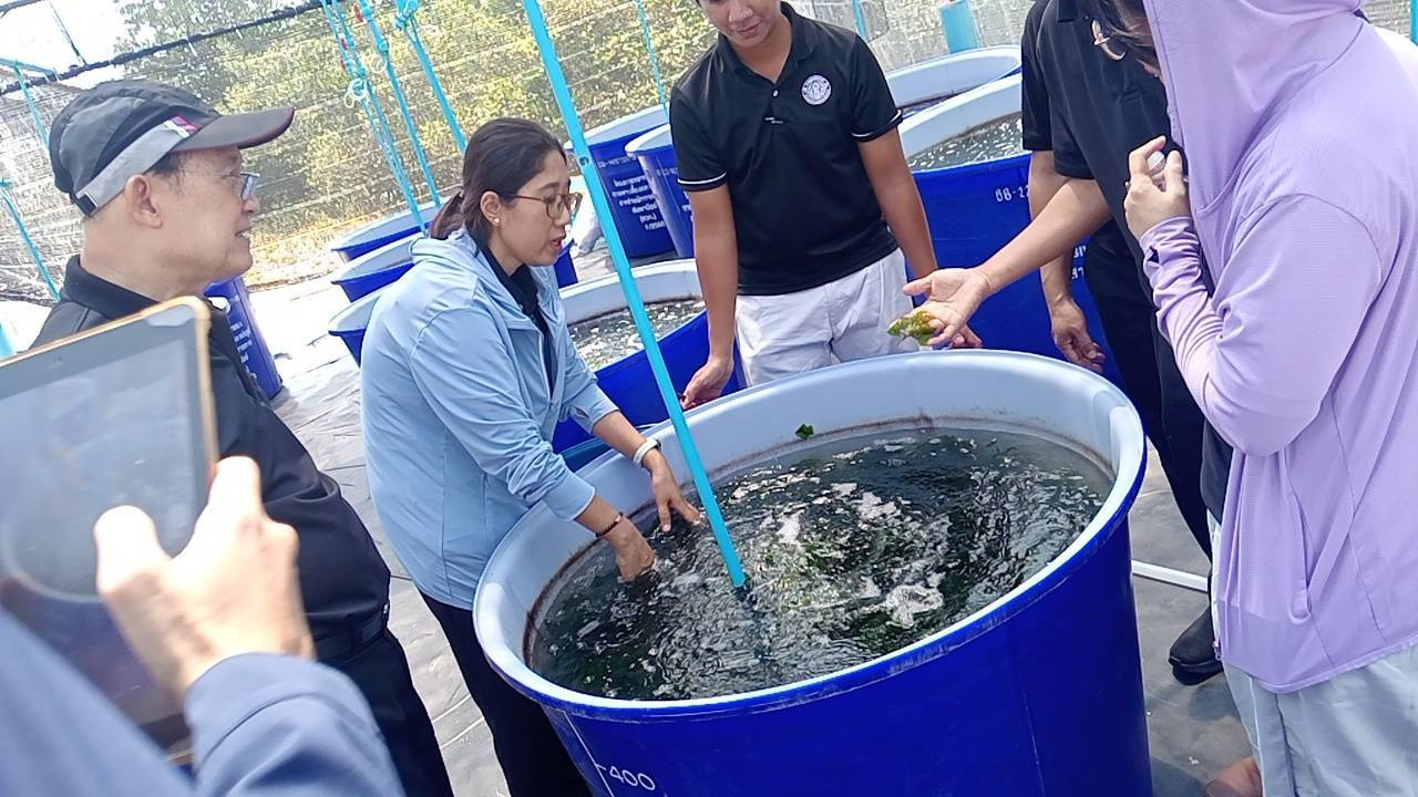 คณะเทคโนโลยีอุตสาหกรรมจัดกิจกรรมสัมมนาบุคลากรประจำปี คณะเทคโนโลยีอุตสาหกรรมจัดกิจกรรมสัมมนาบุคลากรประจำปี — 10 เมษายน 2026 — สถาบันเทคโนโลยีจิตรลดา CDTI
