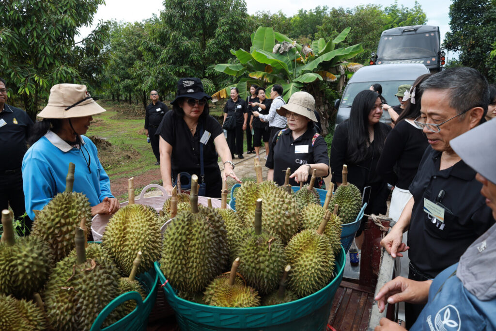 สจด. สานพลังเครือข่ายภาคีความร่วมมือ ผ่านกิจกรรมศึกษาดูงานและแลกเปลี่ยนเรียนรู้ &mdash; 12 มิถุนายน 2026 &mdash; สถาบันเทคโนโลยีจิตรลดา CDTI