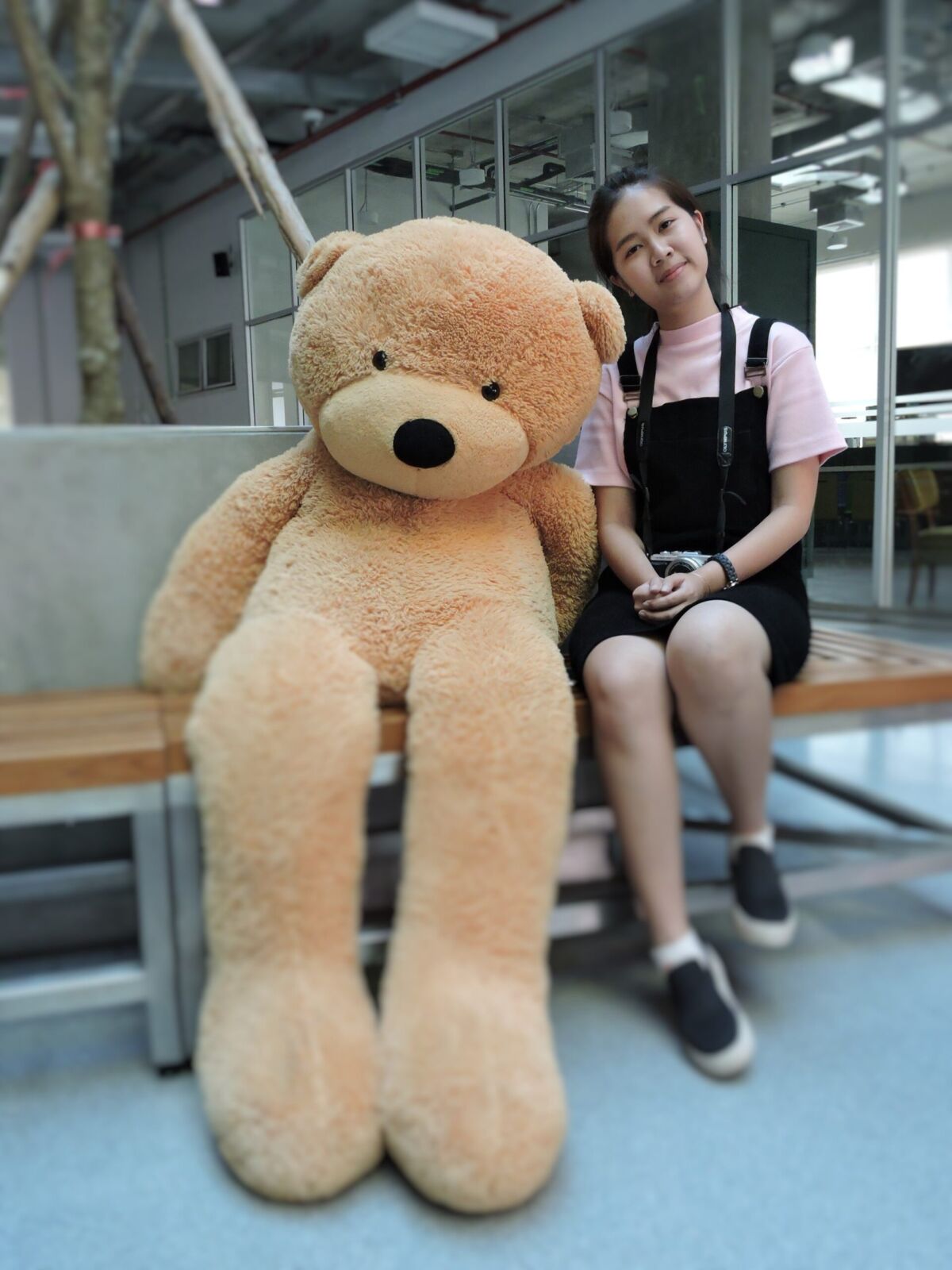 โครงการอบรมเทคนิคการถ่ายภาพ " แชะ!!! ภาพอย่างไรให้ได้ Like" &mdash; 5 สิงหาคม 2026 &mdash; สถาบันเทคโนโลยีจิตรลดา CDTI