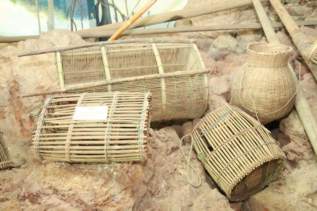 ปลูกป่าชายเลน ชุมชนคลองโคน จังหวัดสมุทรสงคราม &mdash; 9 กรกฎาคม 2026 &mdash; สถาบันเทคโนโลยีจิตรลดา CDTI