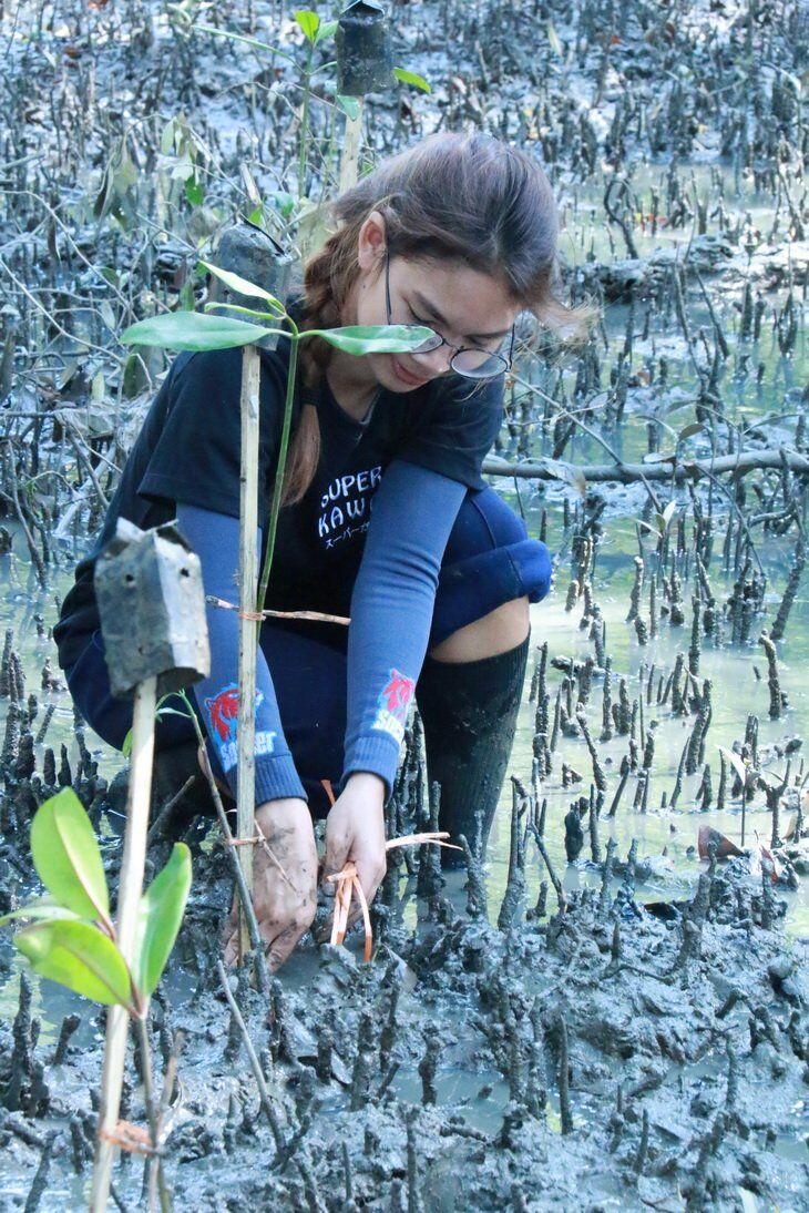 ปลูกป่าชายเลน ชุมชนคลองโคน จังหวัดสมุทรสงคราม &mdash; 9 กรกฎาคม 2026 &mdash; สถาบันเทคโนโลยีจิตรลดา CDTI