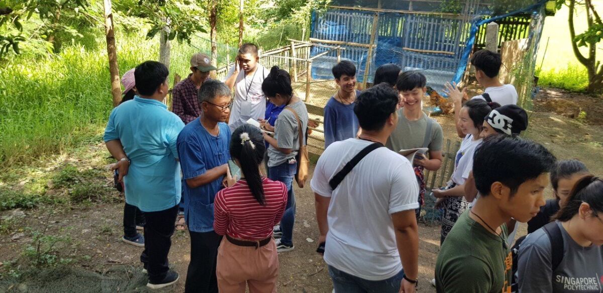 โครงการ LEX 2019 &mdash; 9 สิงหาคม 2026 &mdash; สถาบันเทคโนโลยีจิตรลดา CDTI