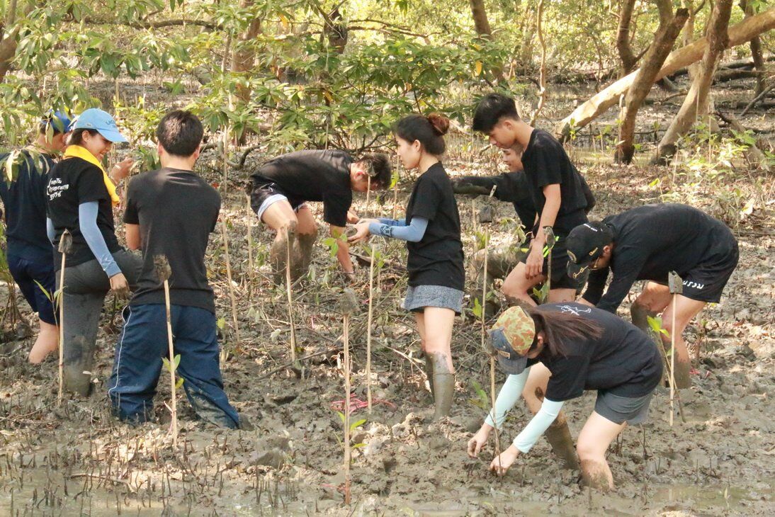 ปลูกป่าชายเลน ชุมชนคลองโคน จังหวัดสมุทรสงคราม &mdash; 9 กรกฎาคม 2026 &mdash; สถาบันเทคโนโลยีจิตรลดา CDTI