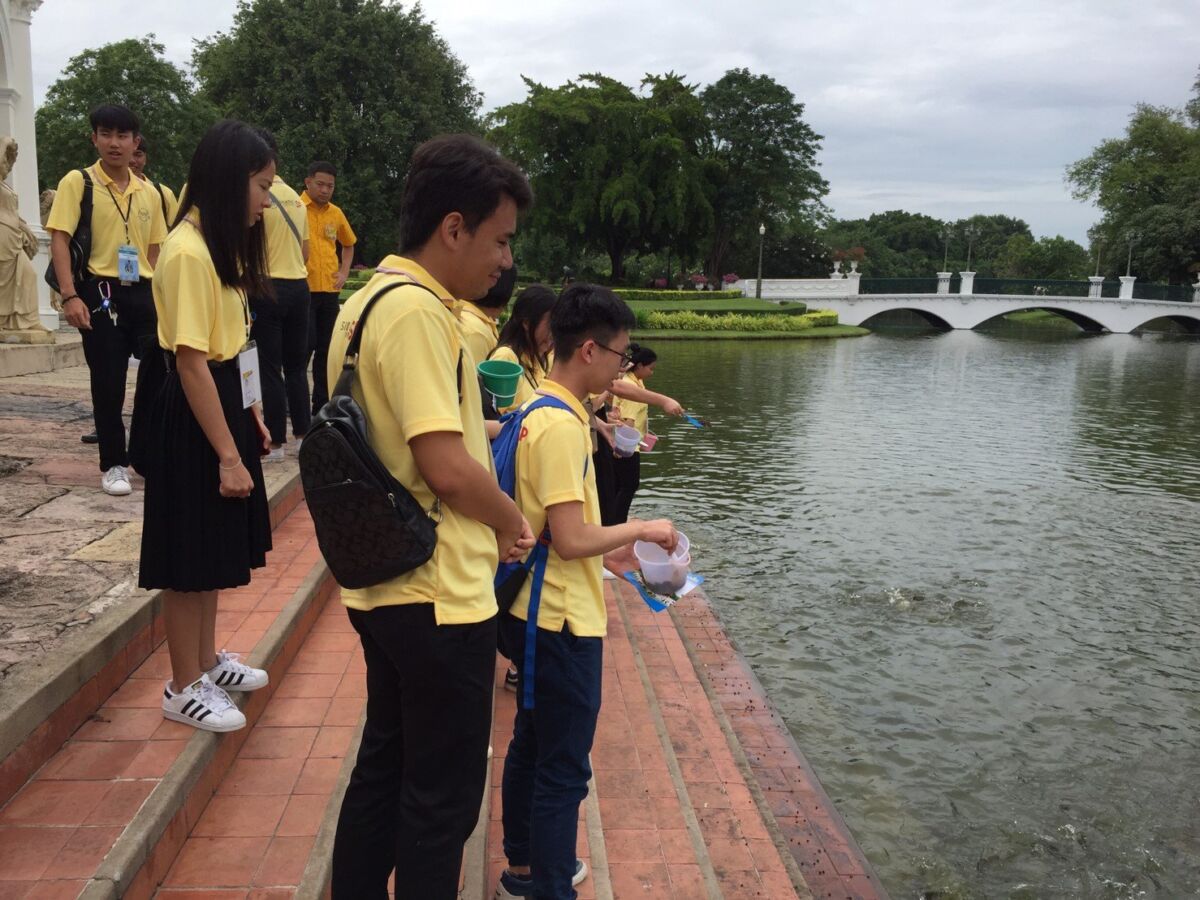 โครงการ LEX 2019 &mdash; 9 สิงหาคม 2026 &mdash; สถาบันเทคโนโลยีจิตรลดา CDTI