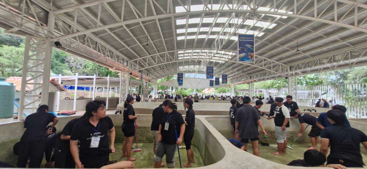 สจด.นำนักศึกษาทำกิจกรรมศูนย์อนุรักษ์พันธุ์เต่าทะเล กองพันลาดตระเวน และพิพิธภัณฑ์ธรรมชาติวิทยาเกาะและทะเลไทย สจด.นำนักศึกษาทำกิจกรรมศูนย์อนุรักษ์พันธุ์เต่าทะเล กองพันลาดตระเวน และพิพิธภัณฑ์ธรรมชาติวิทยาเกาะและทะเลไทย — 14 กันยายน 2026 — สถาบันเทคโนโลยีจิตรลดา CDTI